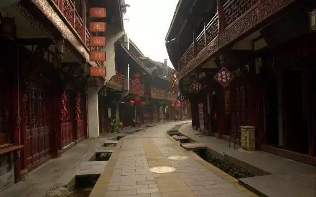 动物帮帮忙保卫家园